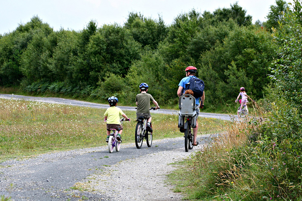 Family-cycling