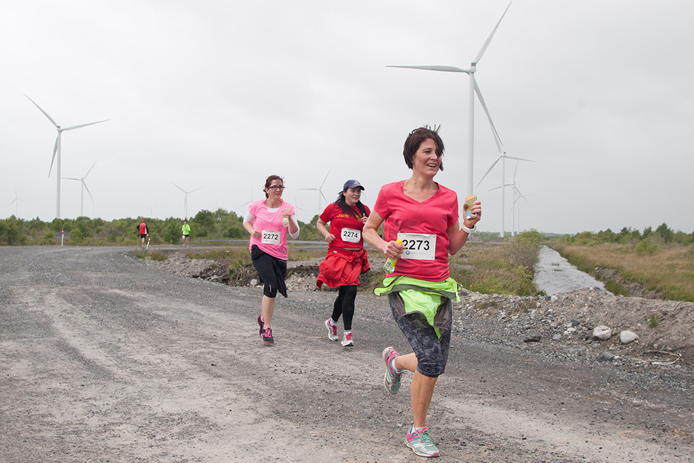 Run-with-the-wind